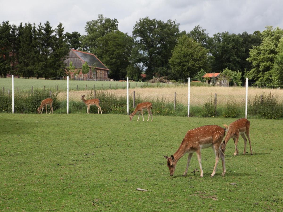 Gaeste Und Ferienhof Maas Dülmen Extérieur photo